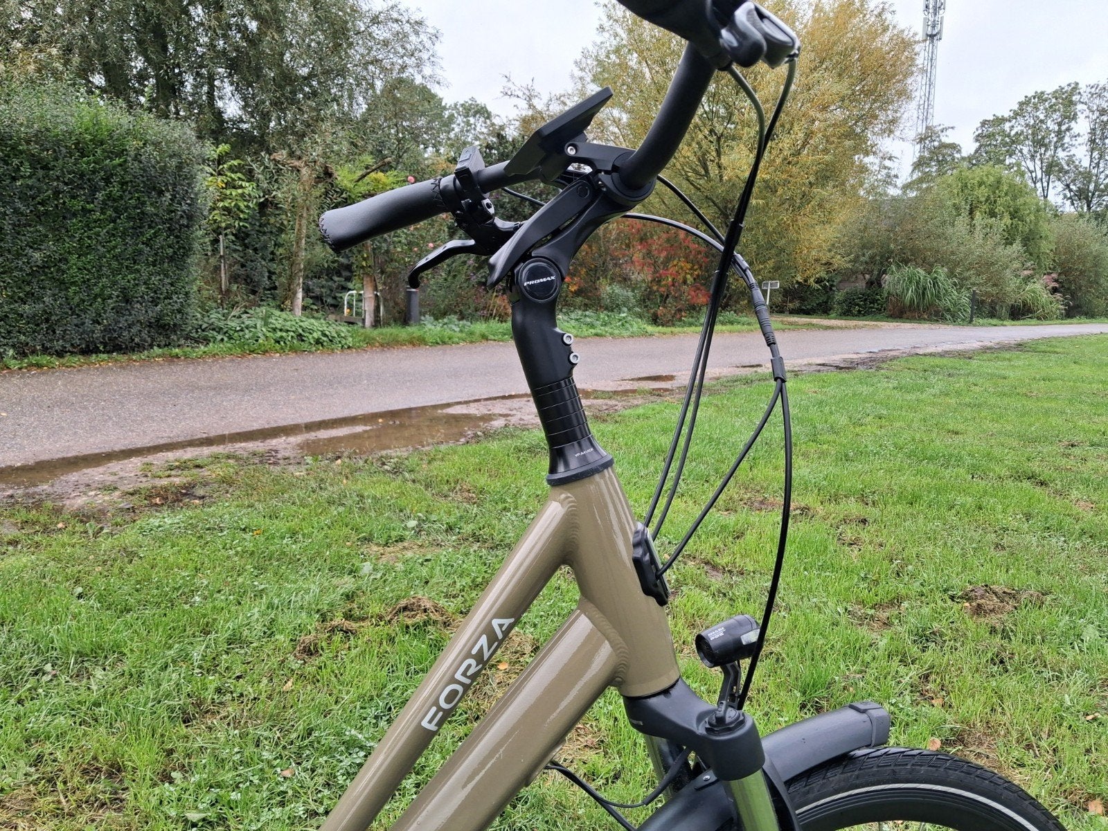 Forza Toscane Pista E-bike (54 cm) – Lage Instap & 14Ah Accu, Fietsen en Brommers, Ophalen of Verzenden