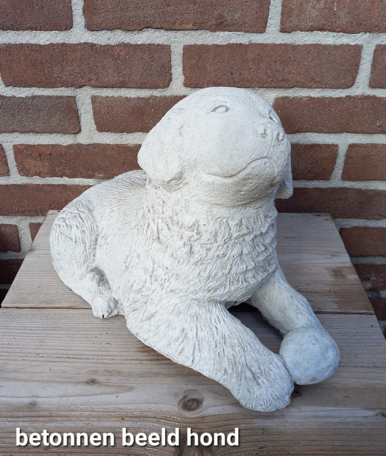 Betonnen beeld hond, Tuin en Terras, Ophalen of Verzenden, Zo goed als nieuw, Beton, Dierenbeeld