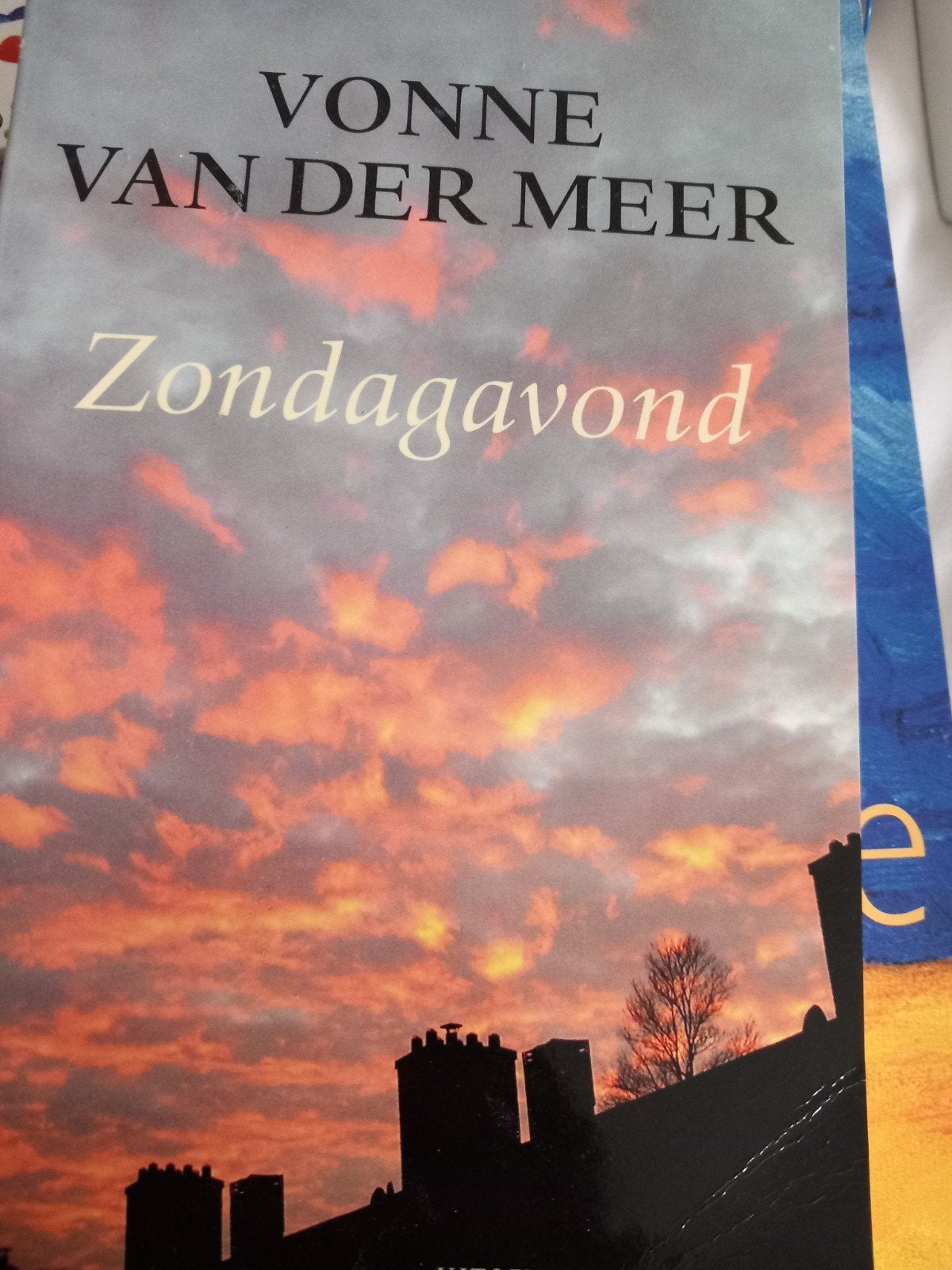Vonne van der Meer - Zondagavond, Boeken, Ophalen of Verzenden, Gelezen, Vonne van der Meer
