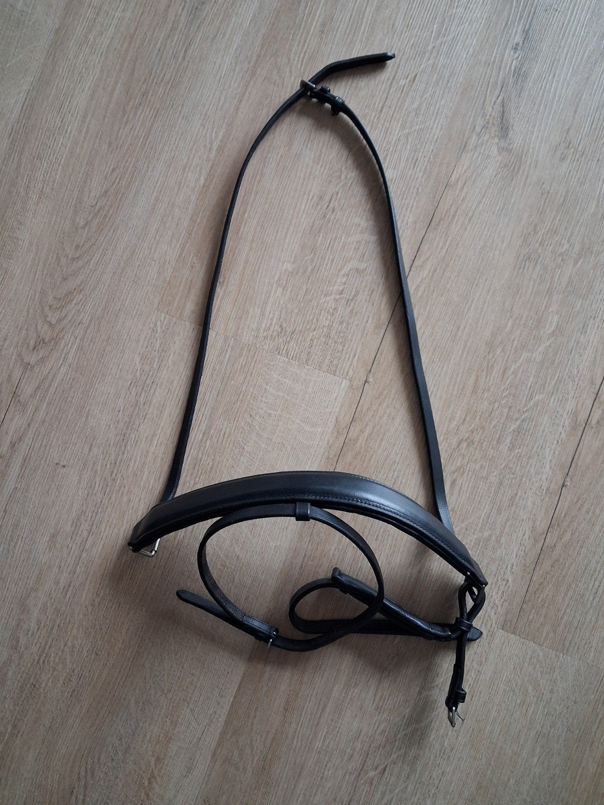 Nieuwe neusriem maat full, Ophalen of Verzenden, Nieuw, Dressuur