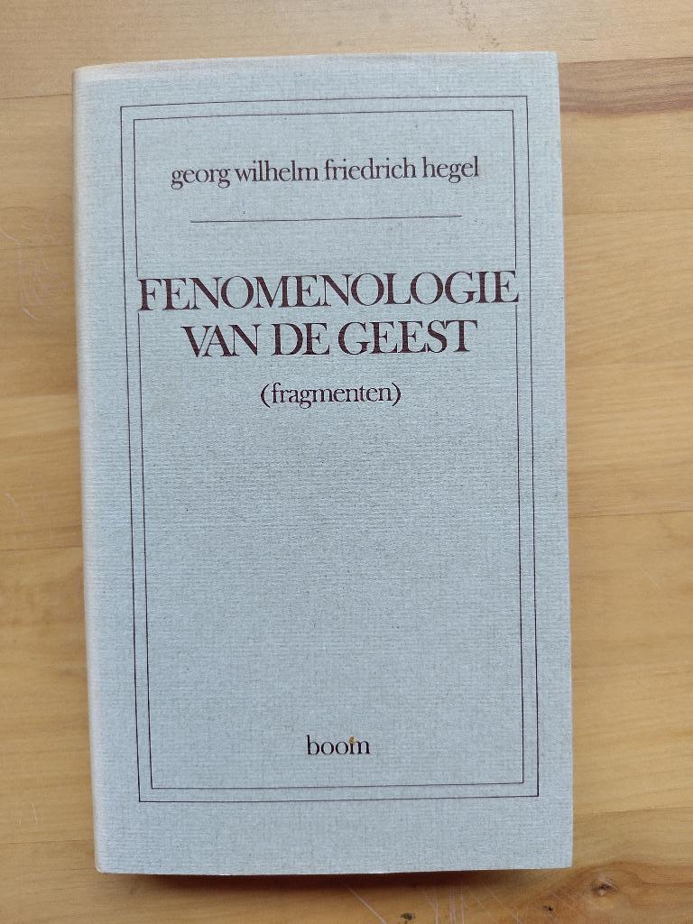 GWF Hegel Fenomenologie van de geest Boom Klassiek HC 1981, Boeken, GWF Hegel, Verzenden, Zo goed als nieuw, Algemeen