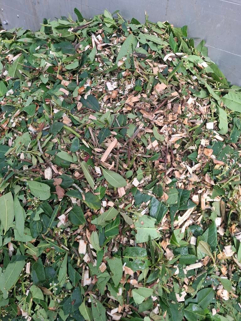Houtsnippers te koop, Tuin en Terras, Ophalen, Bruin, Overige typen
