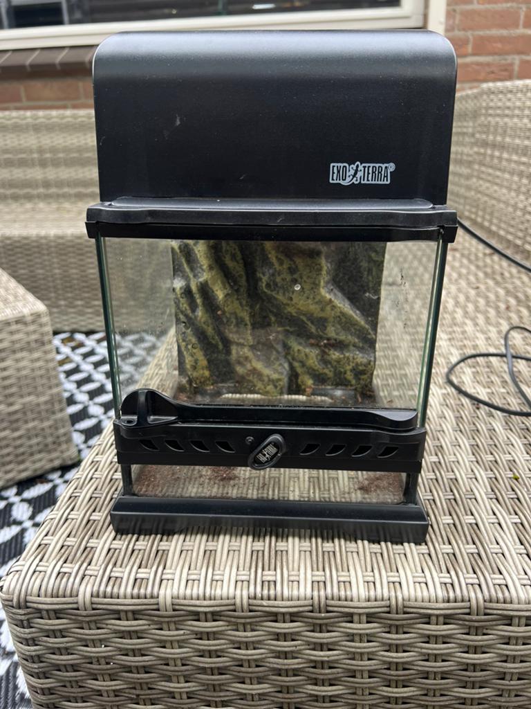 Exo Terra | Terrarium | incl. Warmte lamp | 20x20x20, Ophalen, Zo goed als nieuw, Terrarium of Paludarium