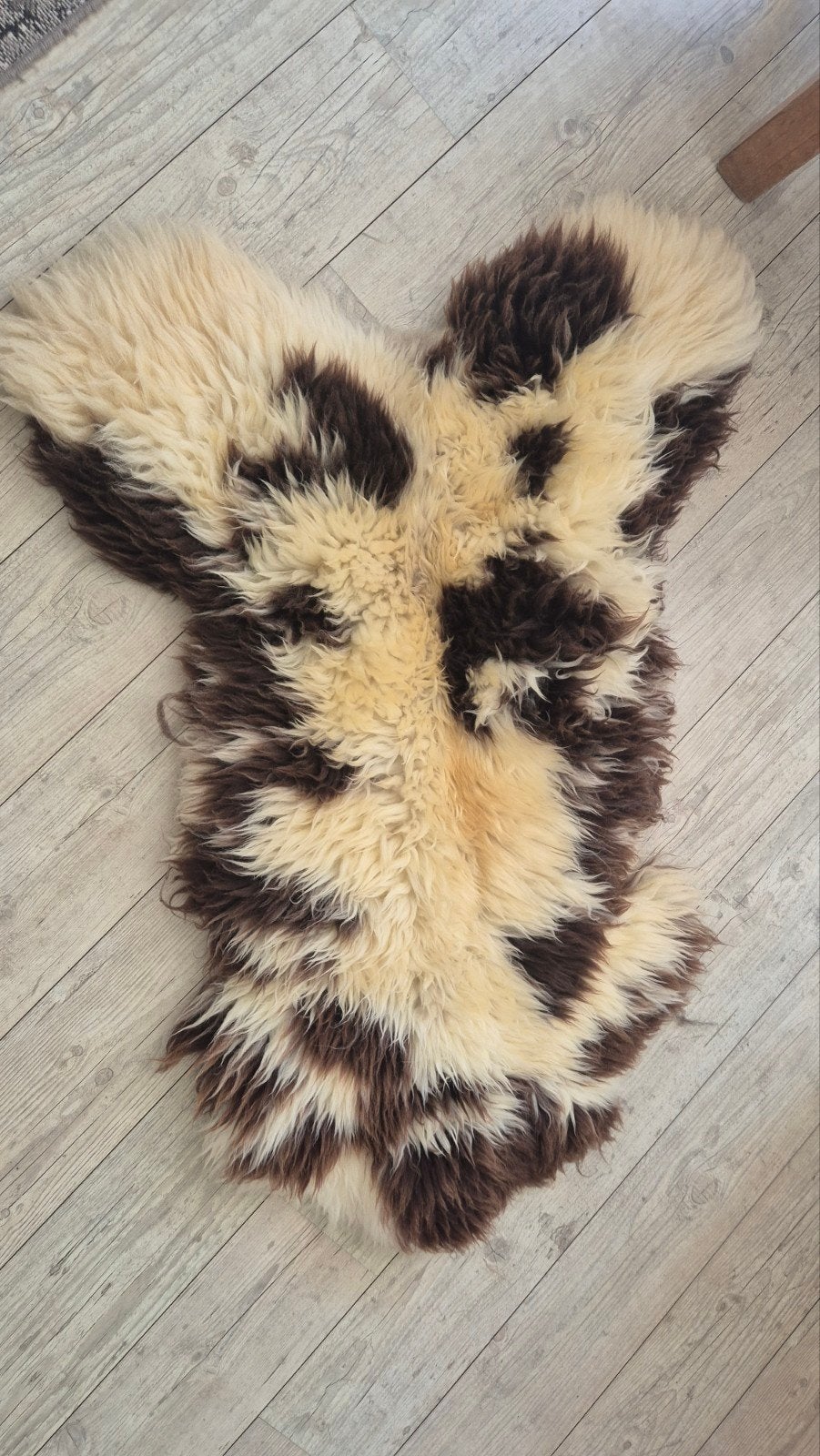 XL Texels schapenvacht zwart/wit - Dikke vacht, Gebruikt, 100 tot 150 cm, Landelijk, Modern, Scandinavisch, Overige vormen