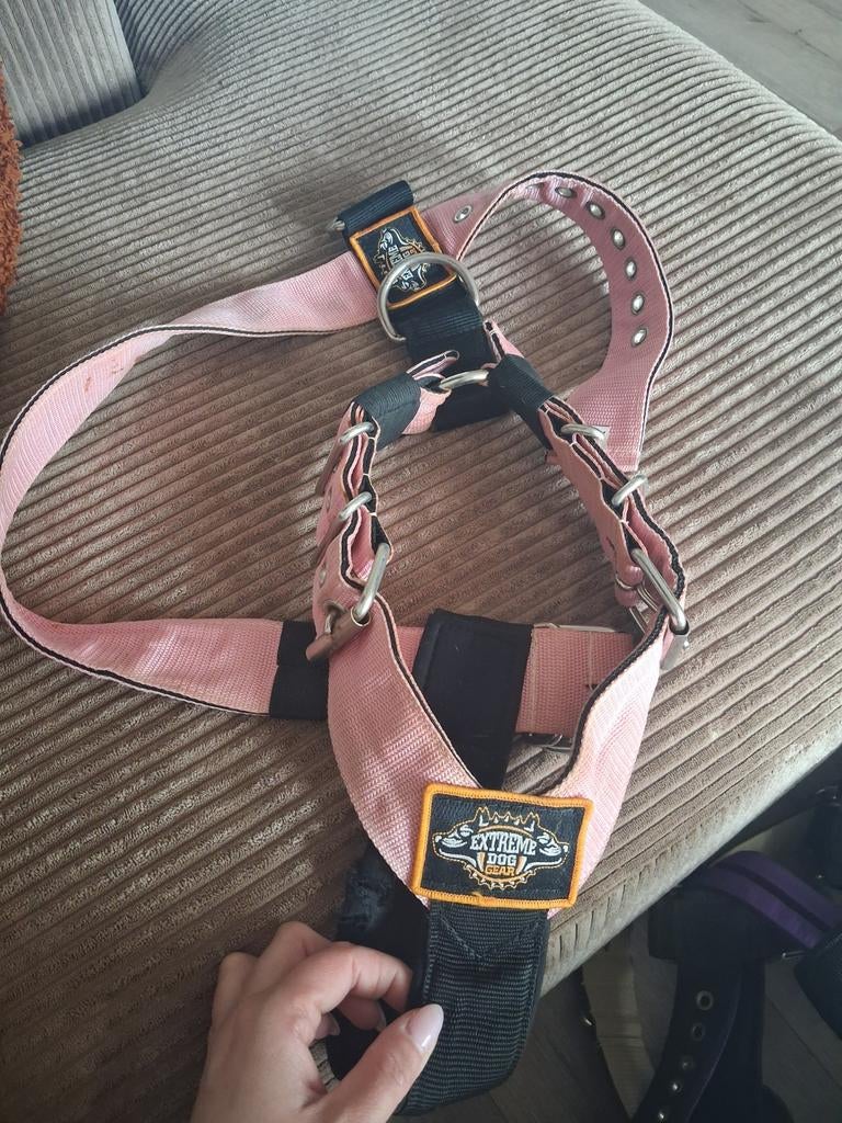 Roze tuig extreme dog gear, Ophalen of Verzenden, Gebruikt, Hondenriem