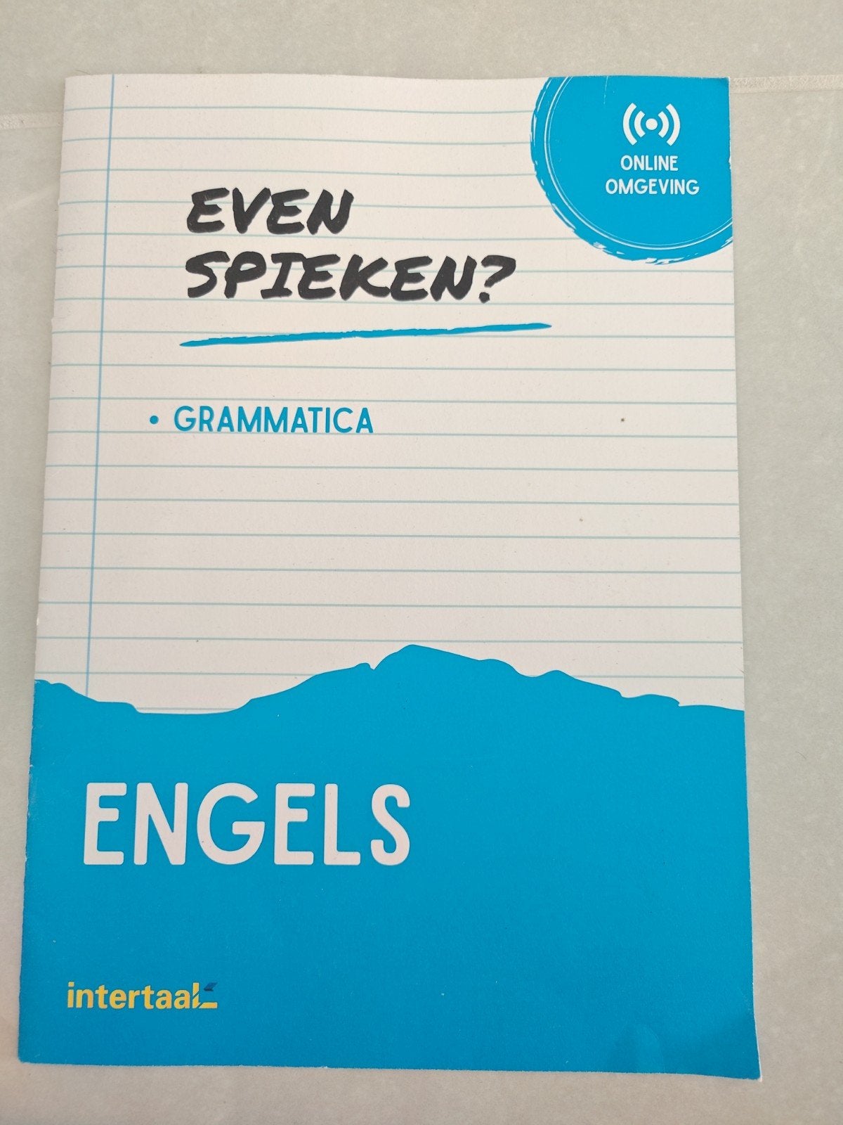Even Spieken? Engels Grammatica - Intertaal, Ophalen of Verzenden, Zo goed als nieuw, Intertaal, Non-fictie