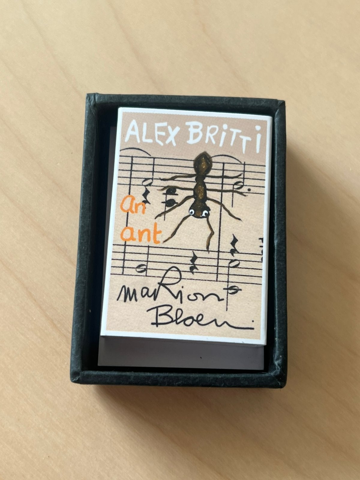 Mini Matchbox kunstboekje van Marion Bloem, Antiek en Kunst, Ophalen of Verzenden