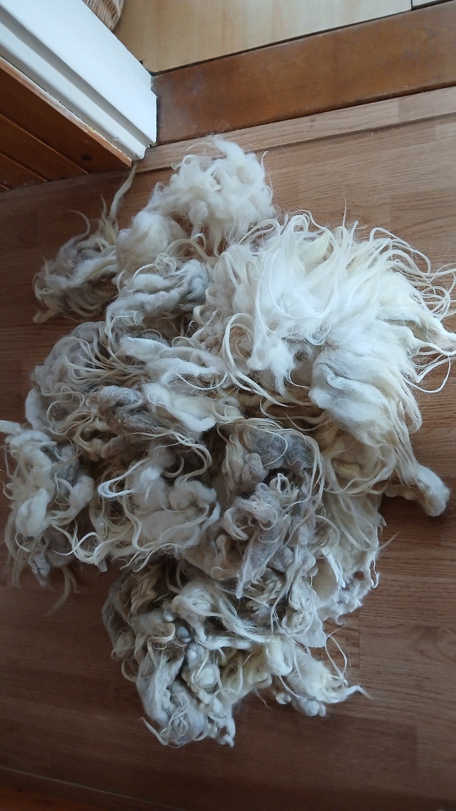 zak gevilte schapenwol 800 gr., Ophalen of Verzenden, Zo goed als nieuw, Los Vilt, Wolvilt