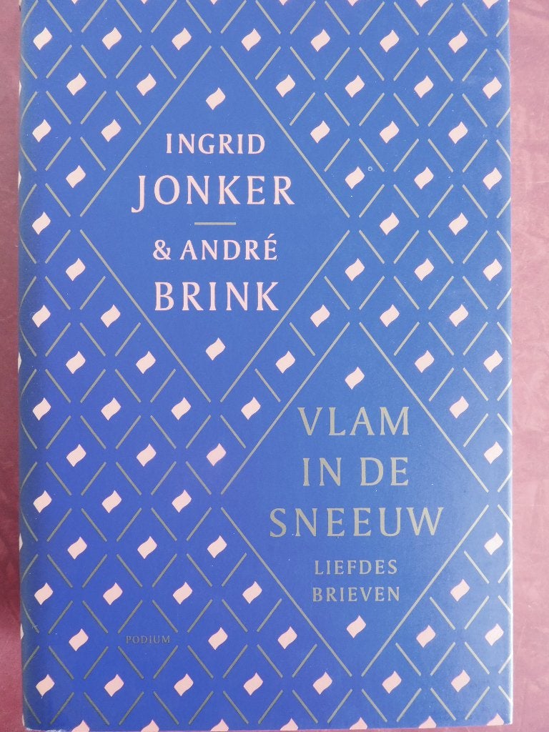 Ingrid Jonker & André Brink  Vlam in de sneeuw, Boeken, Ophalen of Verzenden, Zo goed als nieuw