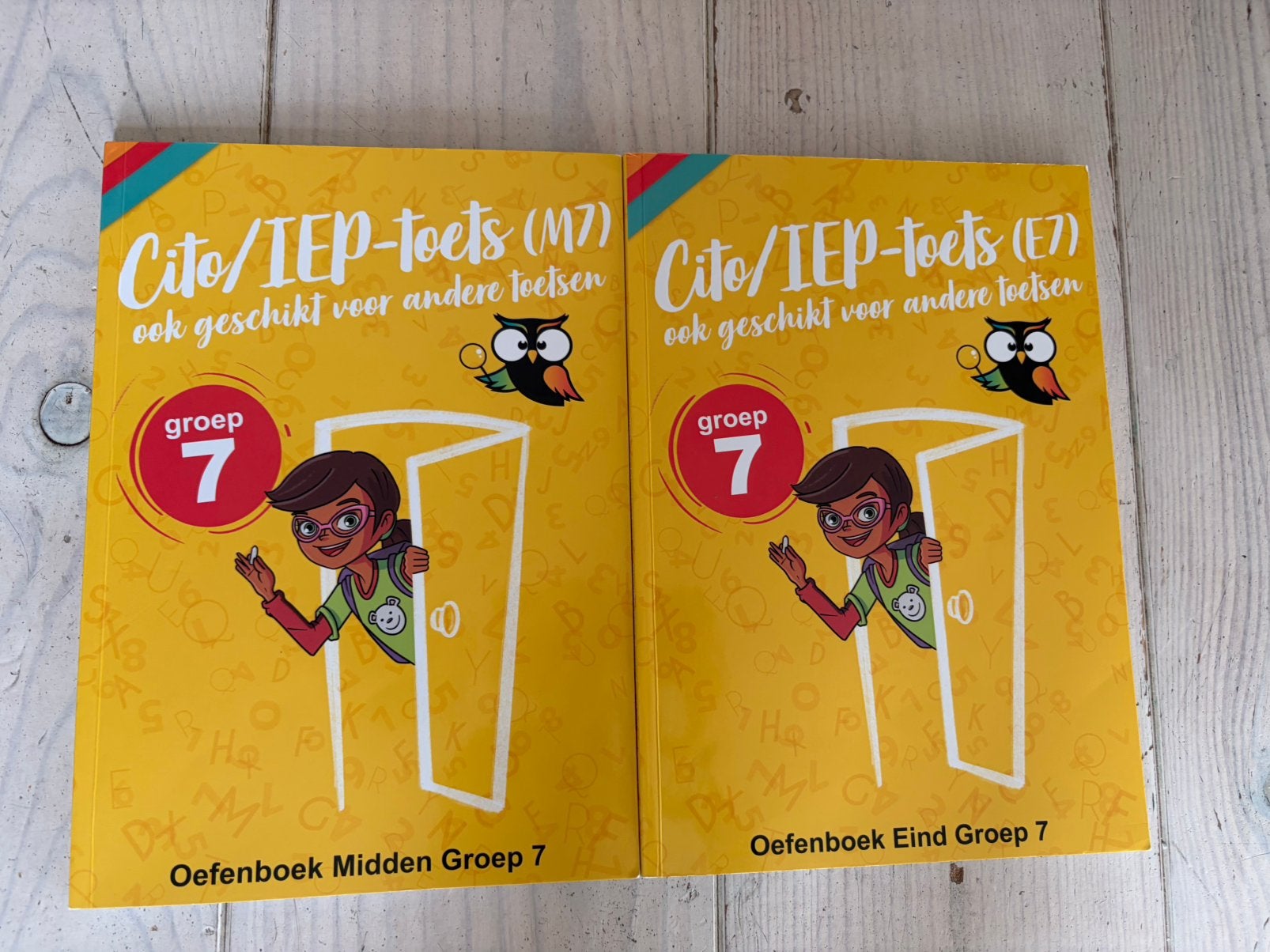 Cito / IEP toets groep 7, Ophalen of Verzenden, Zo goed als nieuw, Overige niveaus, Overige vakken