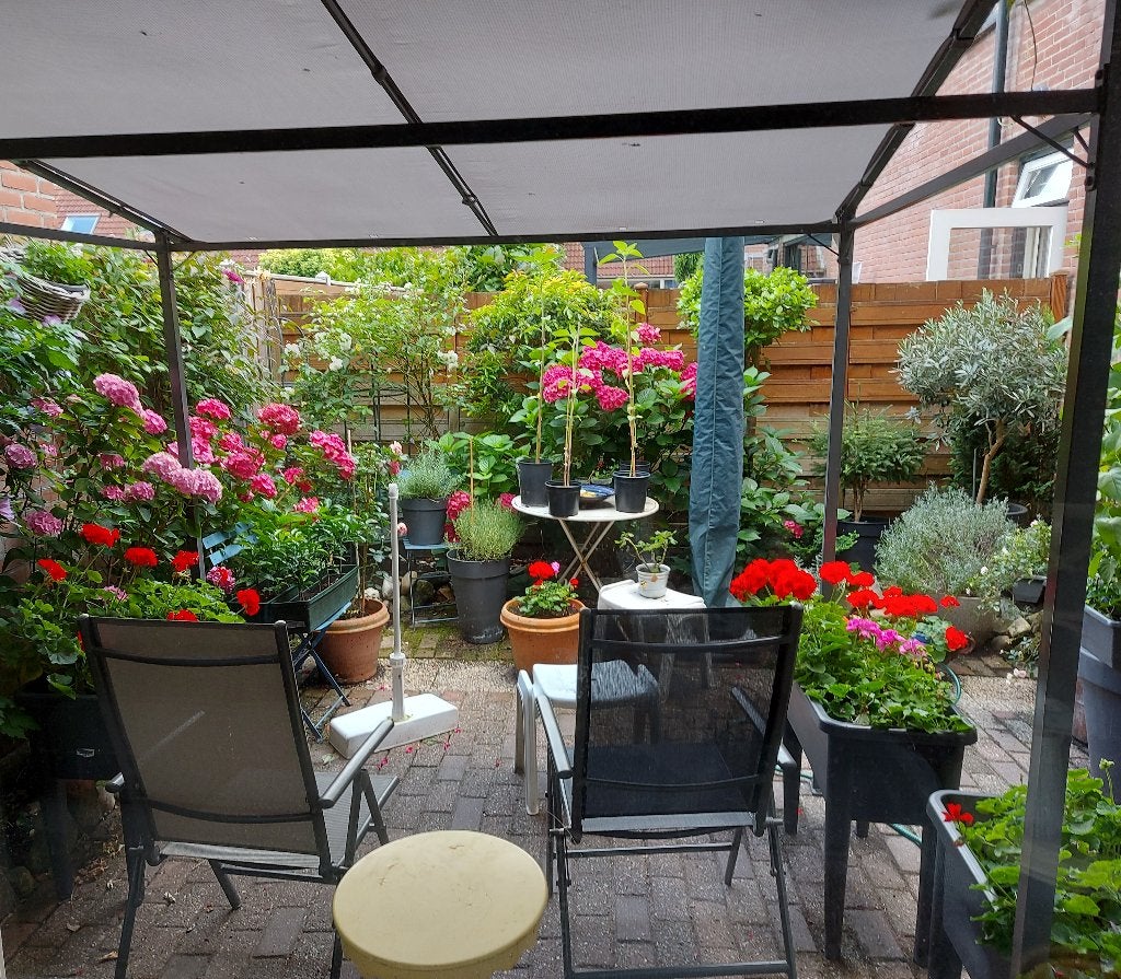 Stalen gazebo (luifel/partytent), Ophalen, Gebruikt, Partytent, Minder dan 4 meter