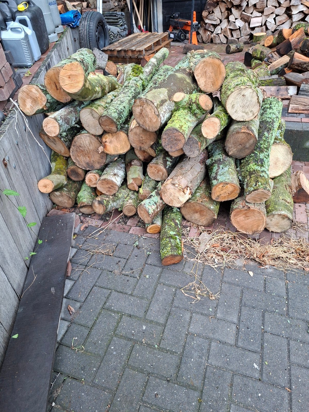 es, esdoorn, prunus, plataan, harde hout soorten, Minder dan 3 m³, Ophalen