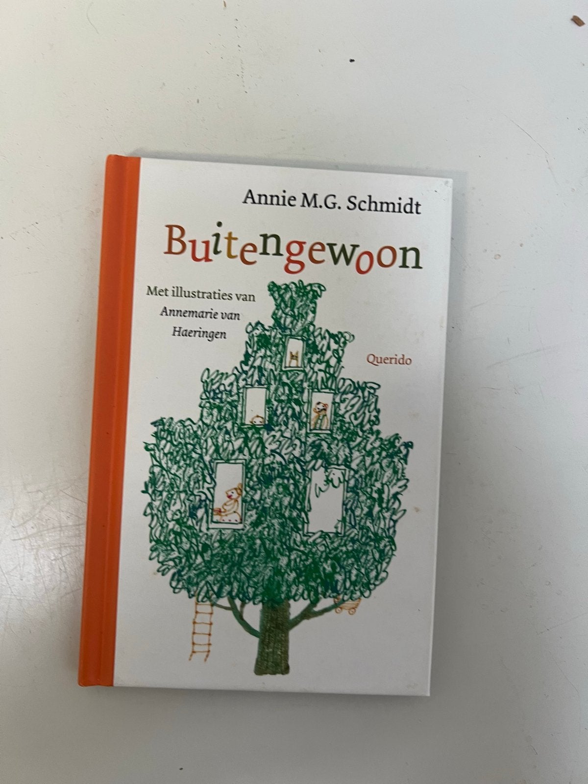 Buitengewoon - Annie M.G. Schmidt (Hardcover), Ophalen of Verzenden, Zo goed als nieuw, Fictie algemeen