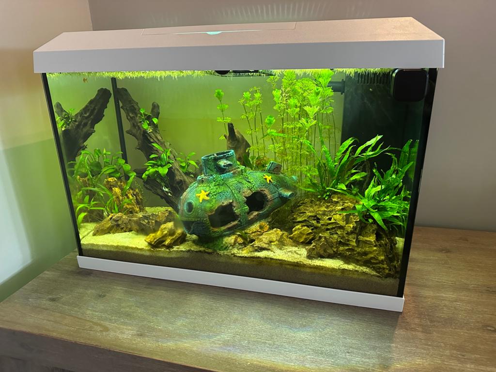 JUWEL Aquarium Primo 70L – Visbestand & Accessoires, Dieren en Toebehoren, Vissen | Aquaria en Toebehoren, Ophalen, Zo goed als nieuw