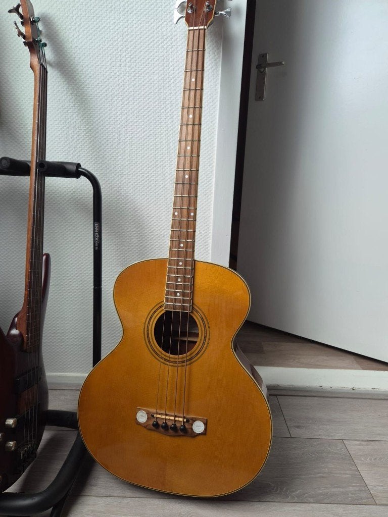 Hofner semi-akoestische basgitaar, Muziek en Instrumenten, Ophalen, Gebruikt, Semi-akoestisch