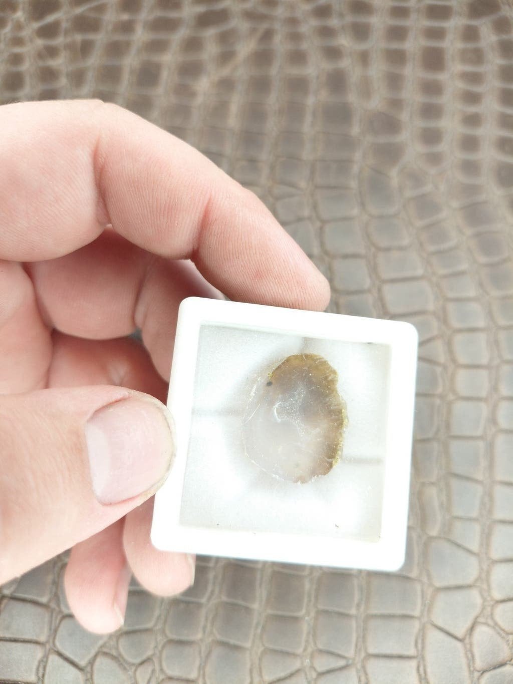 prachtige witte tabasco geode schijf, Ophalen of Verzenden, Nieuw