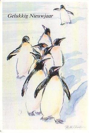 Ansichtkaart 	Pinguïns, Verzenden, 1980 tot heden, Gelopen, Vogel