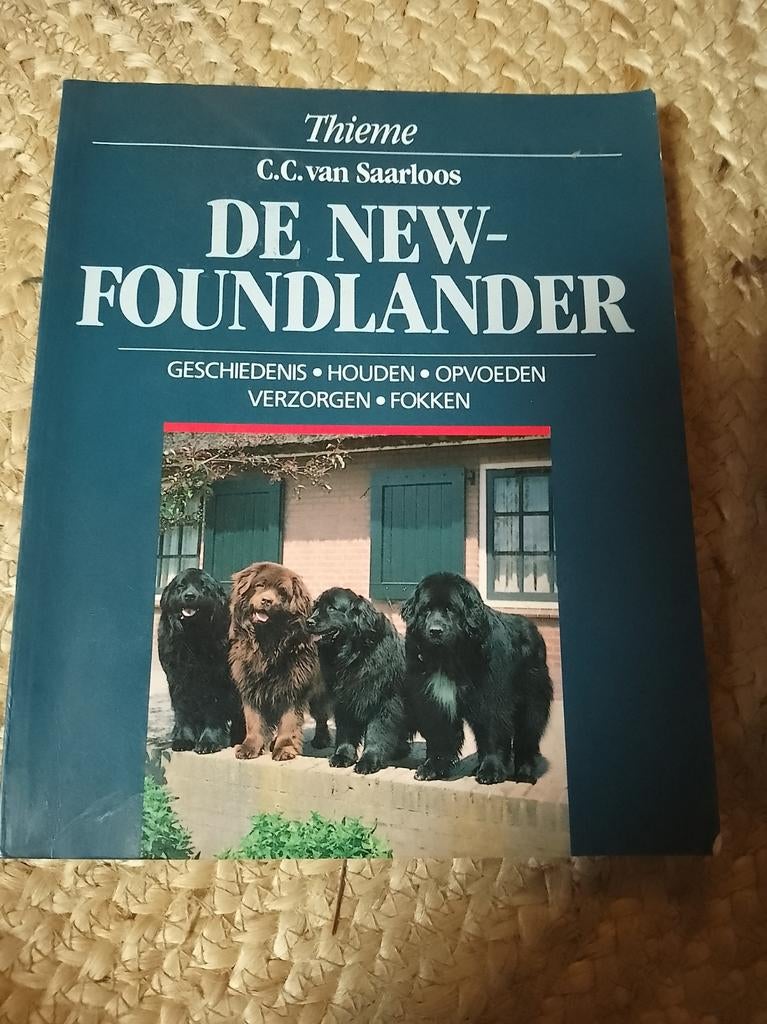 Boek: De Newfoundlander, Boeken, Ophalen of Verzenden