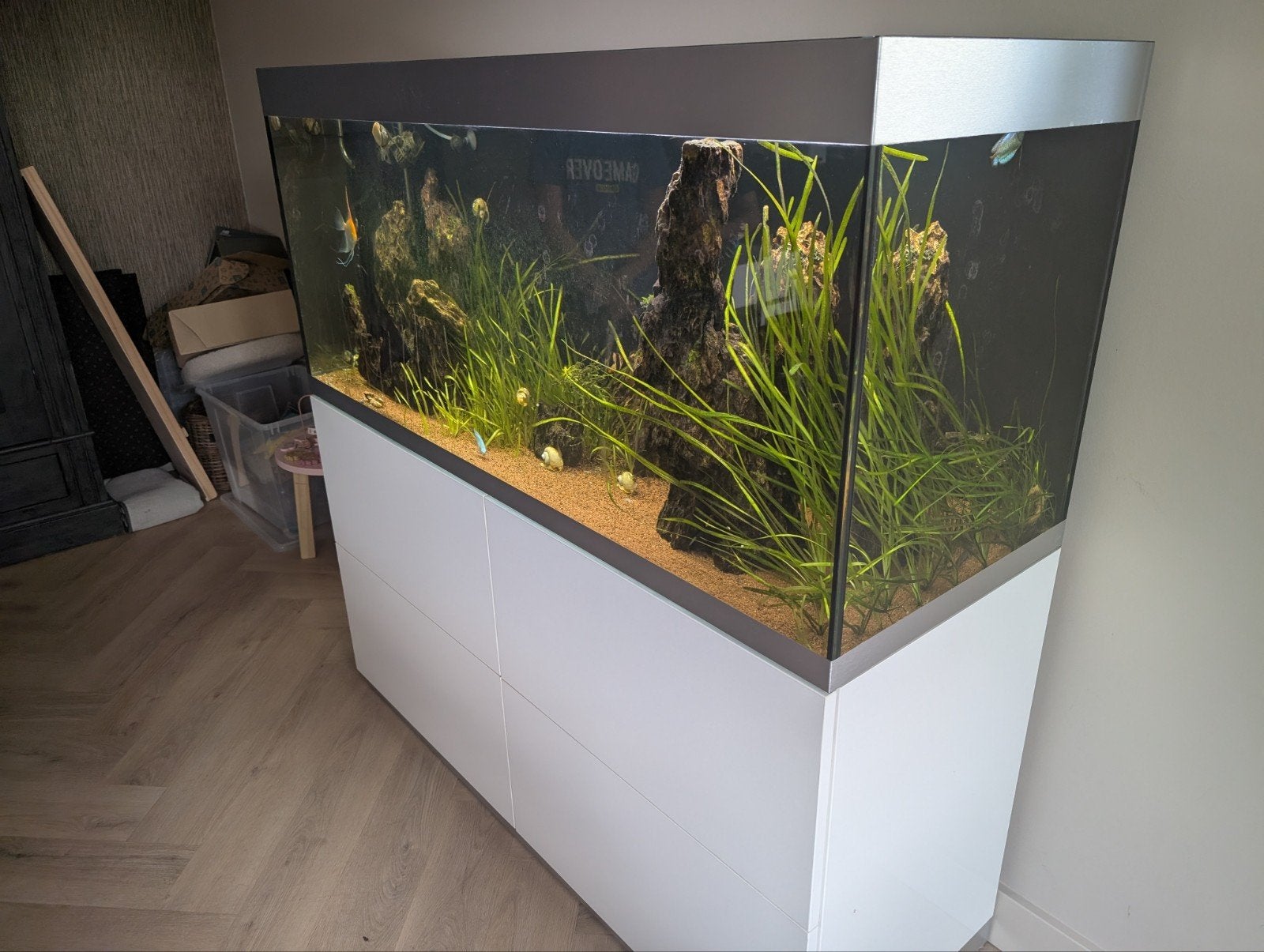 Oase Highline 400 aquarium verl led via app,biomaster 600, Ophalen, Inclusief deksel, Oase, Zo goed als nieuw