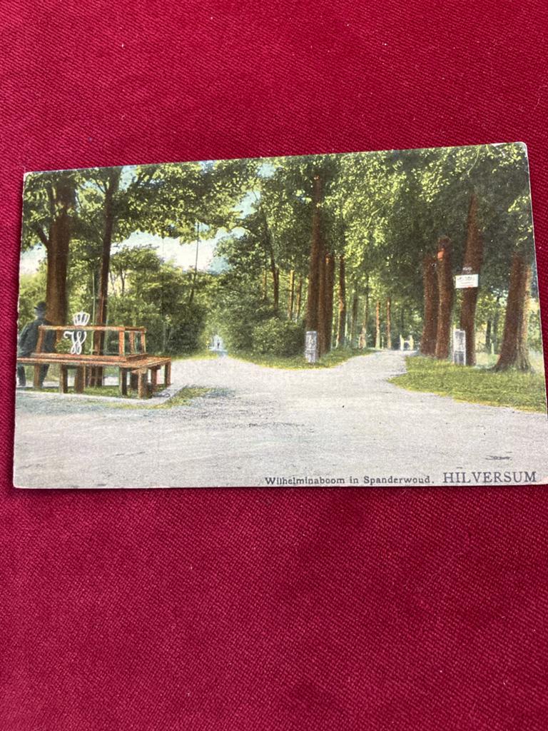 Oude Ansichtkaart Wilhelminaboom Spanderwoud Hilversum, Verzamelen, Ansichtkaarten | Nederland, Ophalen of Verzenden, Voor 1920