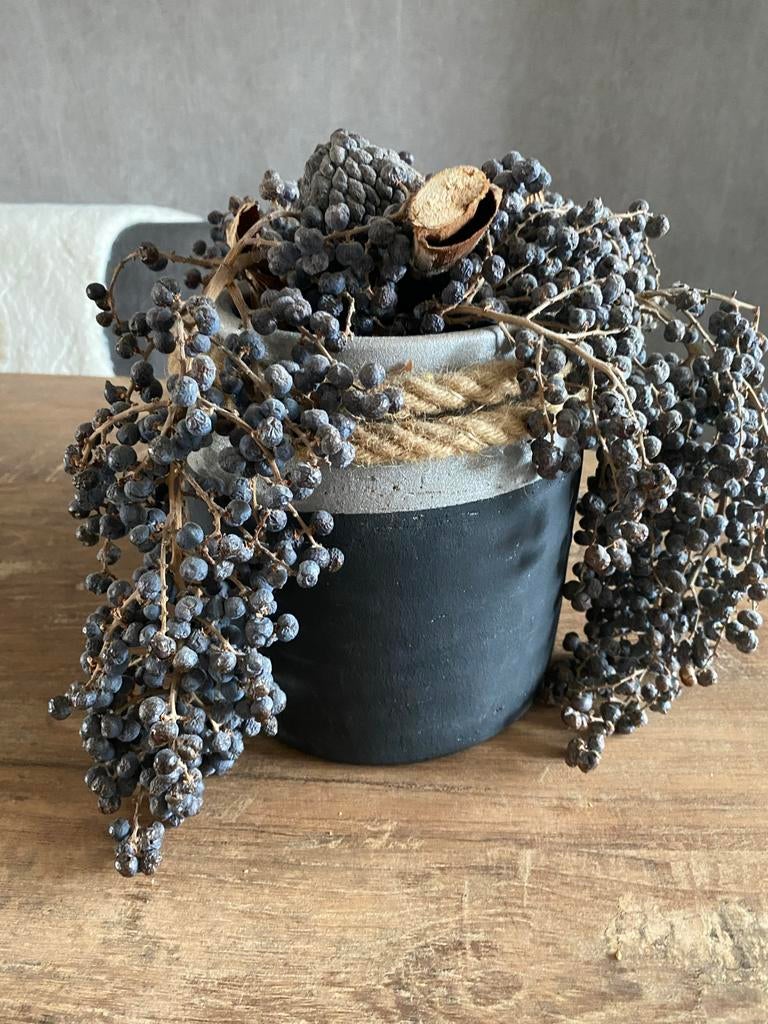 Betonlook pot met gedroogde palmboom druiven, Ophalen, Steen, Zwart, Zo goed als nieuw