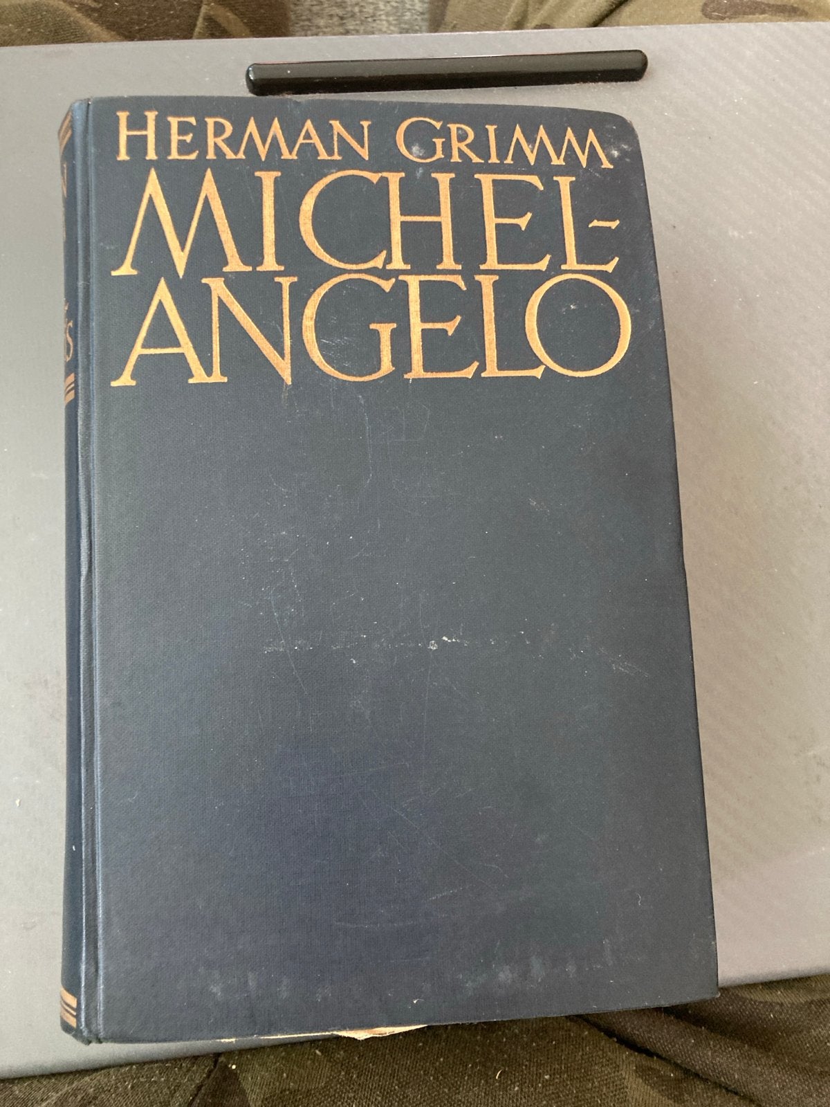 Herman Grimm - Michelangelo (Phaidon-Verlag), Ophalen of Verzenden, Gelezen, Schilder- en Tekenkunst