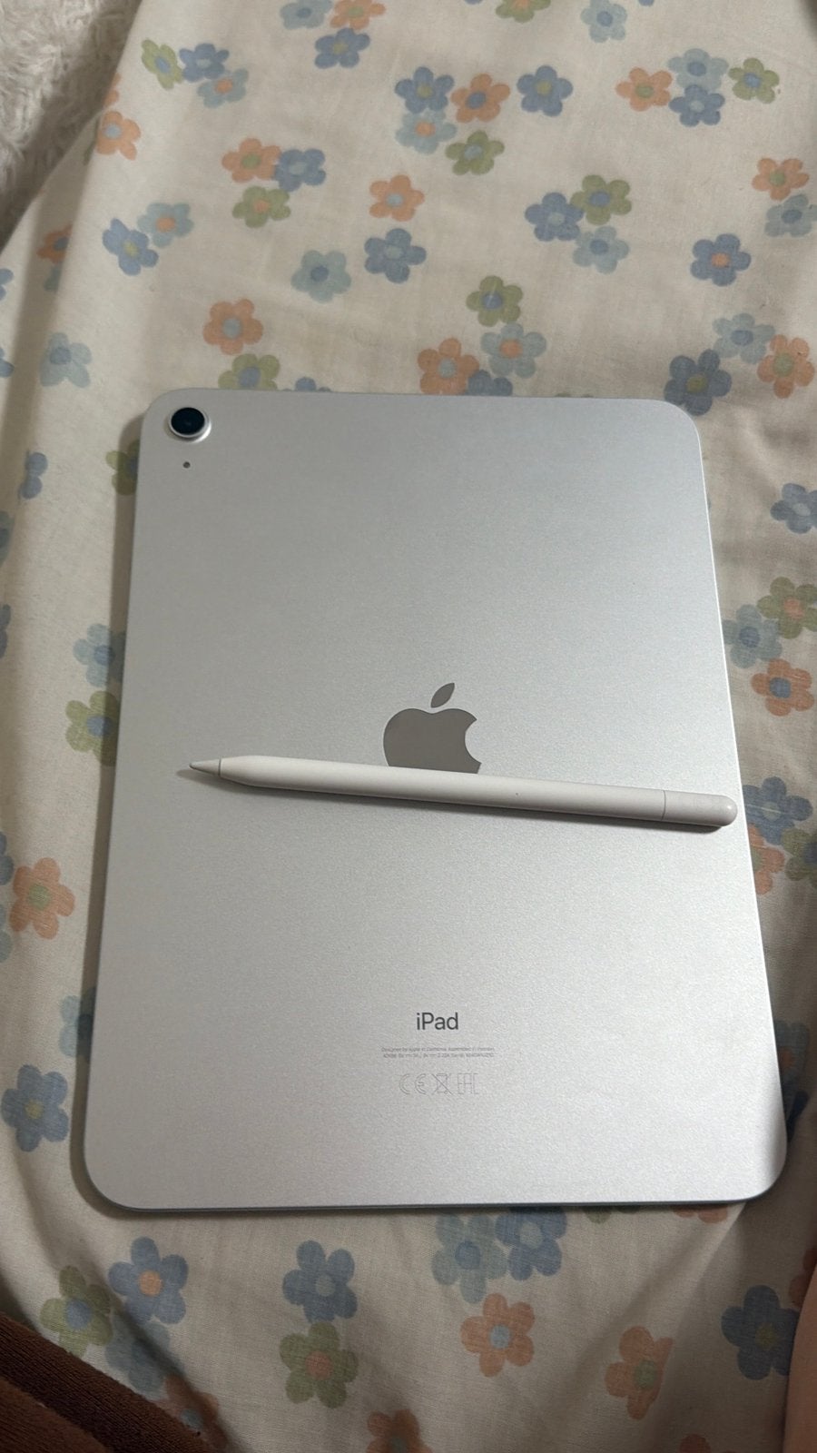 iPad 10e generatie 256 GB met Apple Pencil, Computers en Software, Apple iPads, Apple iPad, Zo goed als nieuw, Zilver, 256 GB