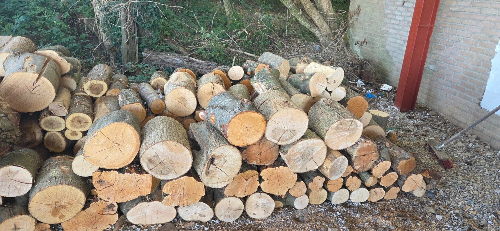 Houtstammen 30cm gezaagd voor zelf kloven, Minder dan 3 m³, Ophalen, Essenhout, Stammen