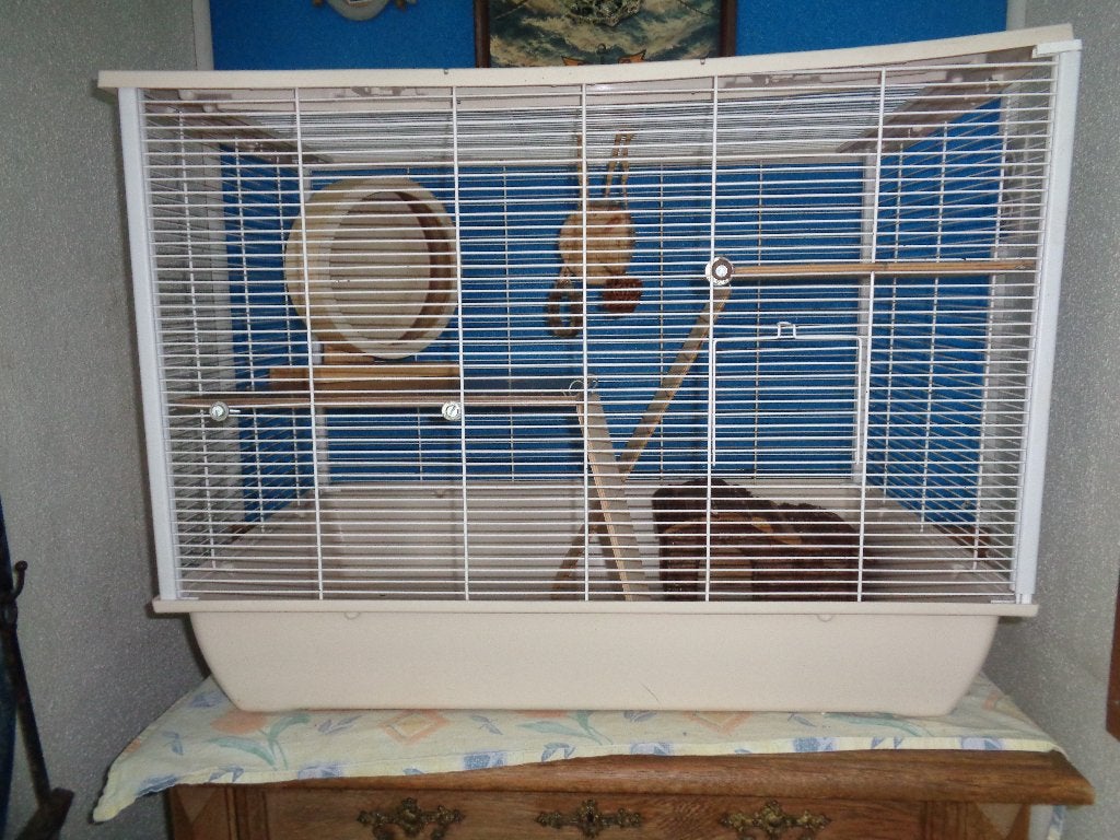 Grote witte knaagdierenkooi Hugo 77 x 47 x 60 cm, Kooi, Gebruikt, Chinchilla, 75 tot 110 cm