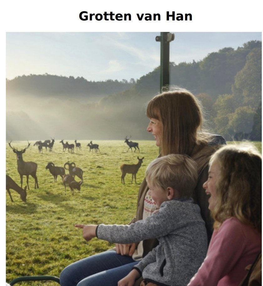 4 kinderkaarten en 1 volwassenenkaart voor de grotten en het, Tickets en Kaartjes, Eén persoon, Ticket of Toegangskaart
