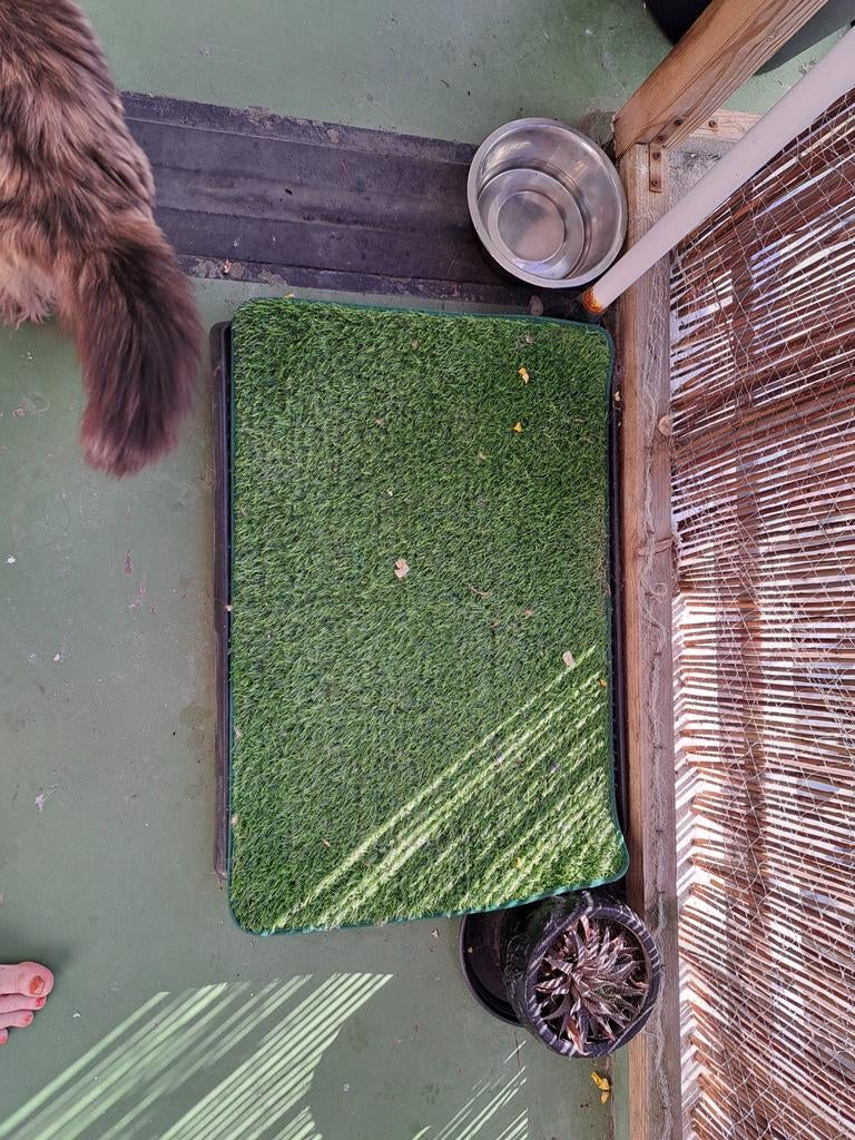 Honden grasveld voor puppy training, Dieren en Toebehoren, Ophalen
