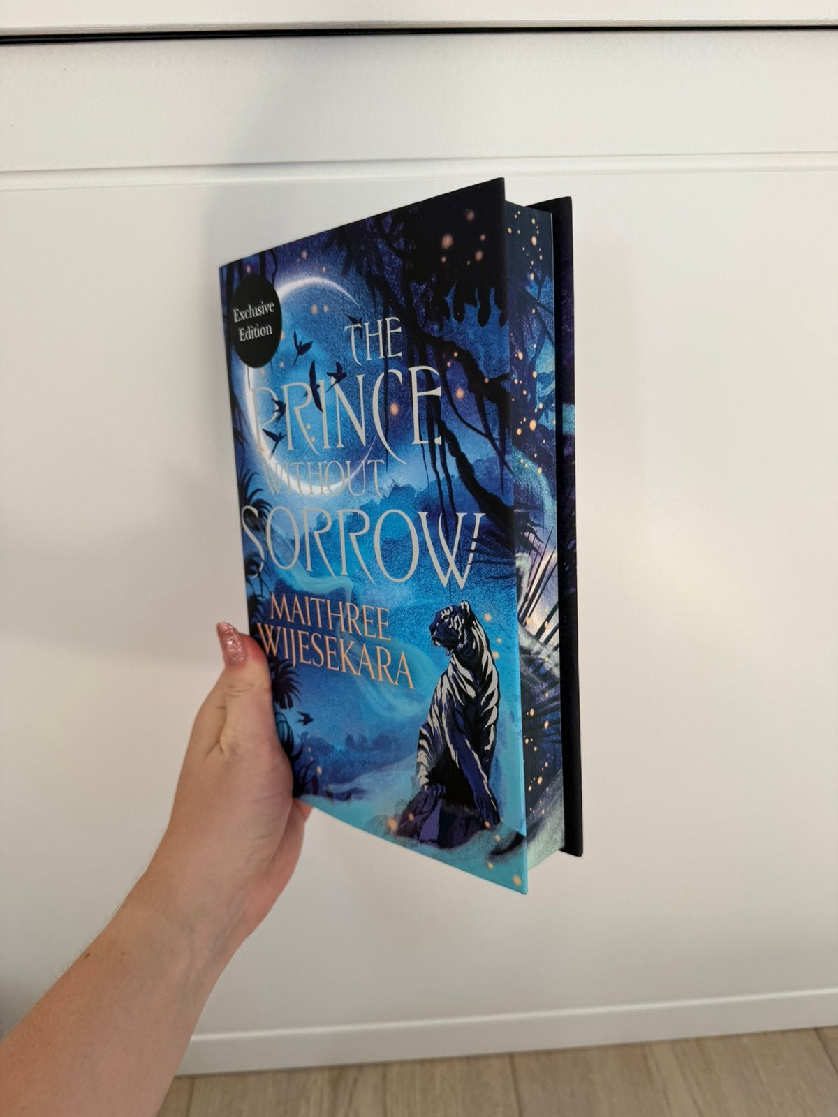 The prince without sorrow  - Waterstones special edition, Boeken, Ophalen of Verzenden, Nieuw