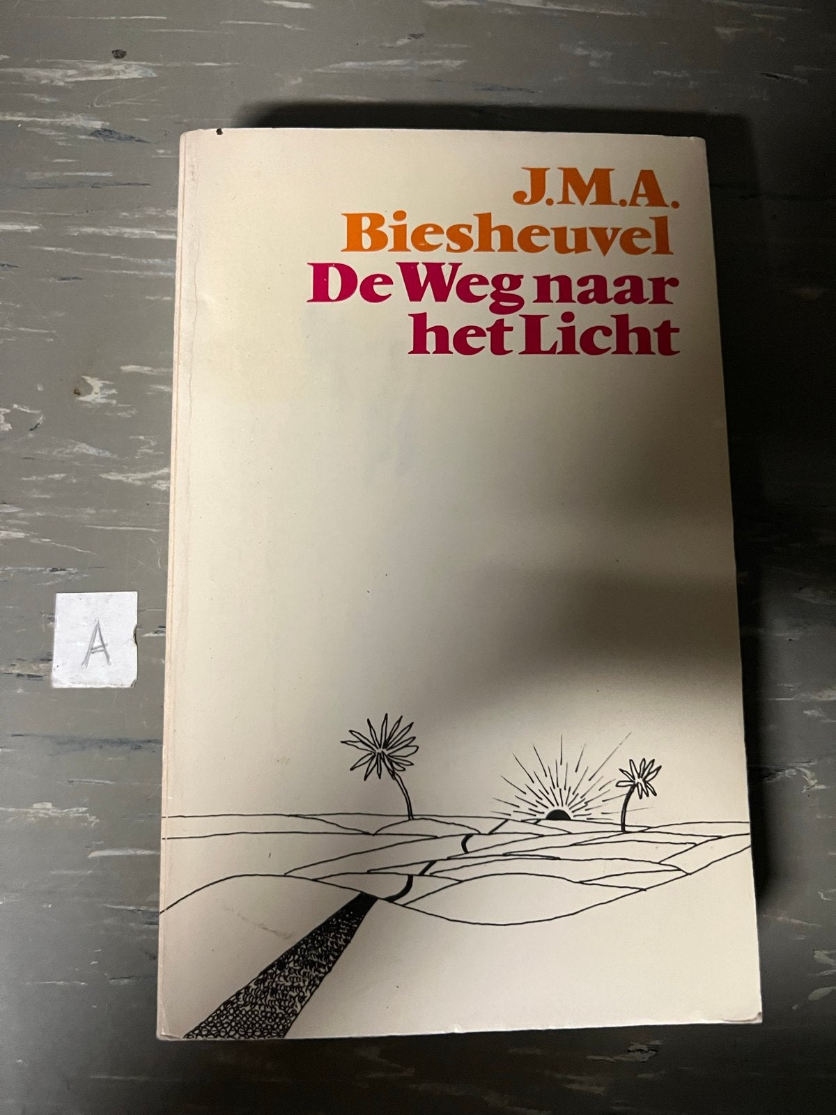 J.M.A. Biesheuvel - De Weg naar het Licht, Ophalen of Verzenden, Gelezen, Nederland
