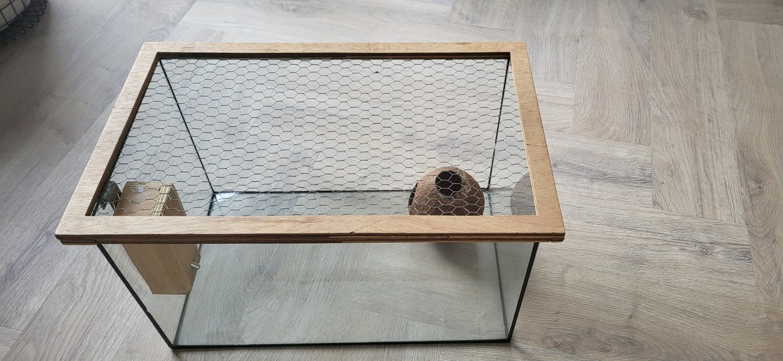Te koop: Gerbilarium/ knaagdier terrarium 50x30x30, Ophalen, Minder dan 75 cm, Kooi, Minder dan 60 cm