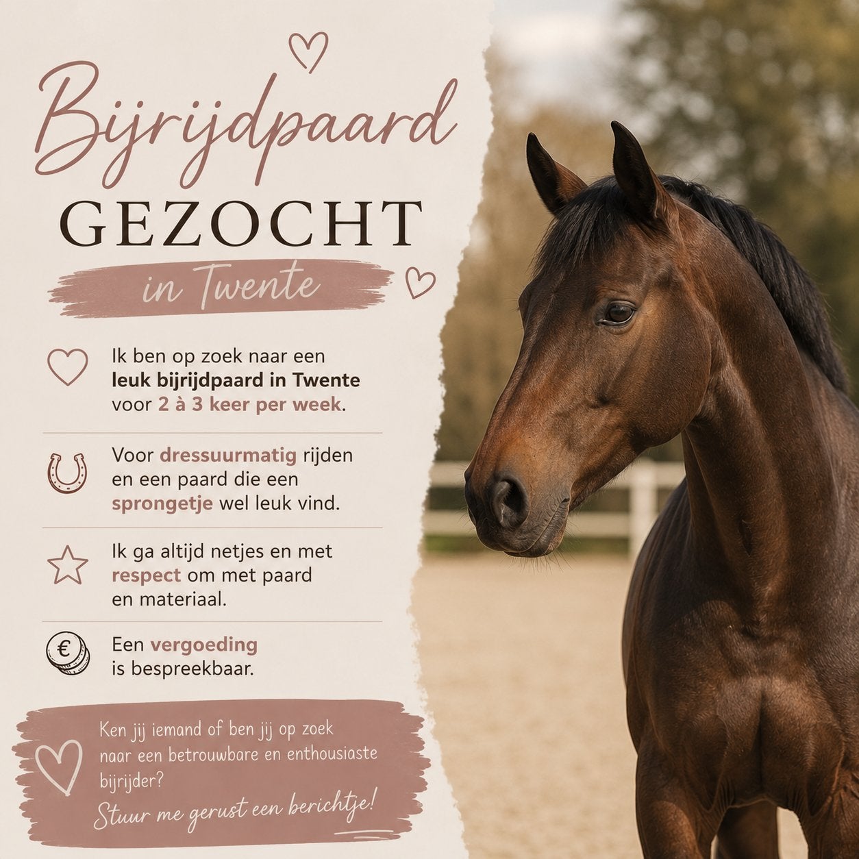 Bijrijd paard gezocht!, Dieren en Toebehoren, Paarden en Pony's | Verzorgingsproducten, Ophalen