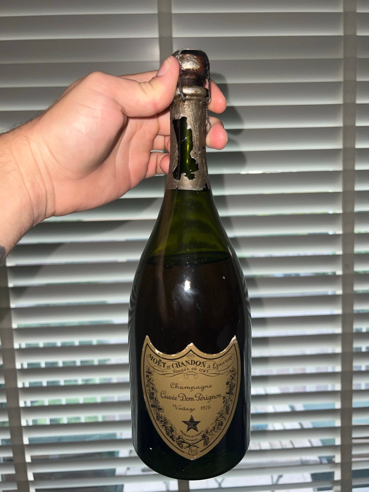 Dom Pérignon Vintage 1976 Champagne, Ophalen of Verzenden, Gebruikt, Frankrijk, Champagne