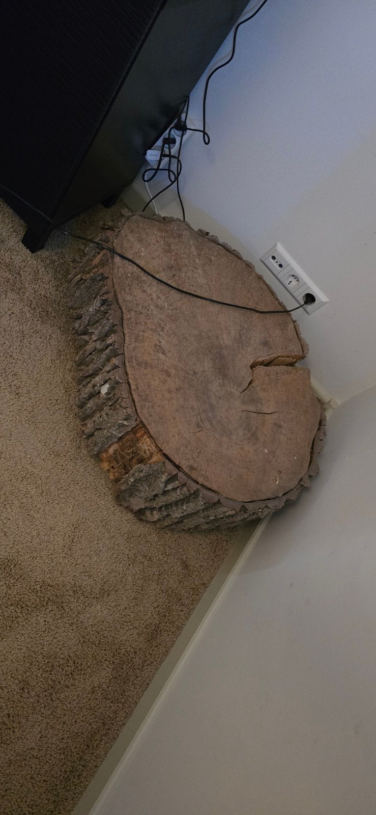 Unieke houten boomstam bijzettafel, Ophalen