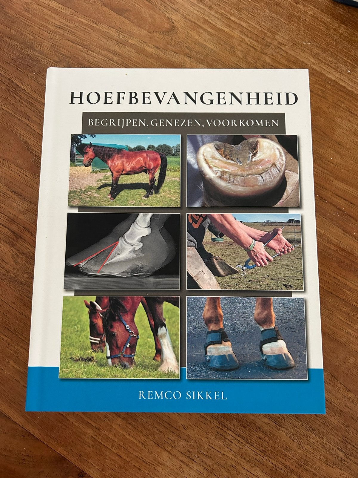 Hoefbevangenheid: Begrijpen, Genezen, Voorkomen - Remco Sikk, Ophalen of Verzenden, Zo goed als nieuw, Paarden of Pony's