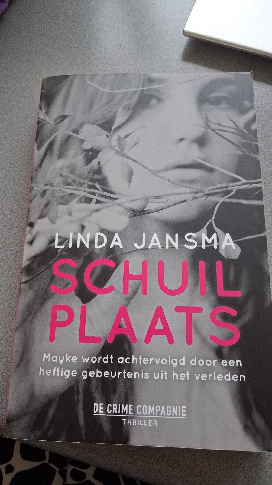 Linda Jansma - Schuilplaats, Ophalen of Verzenden, Zo goed als nieuw, Linda Jansma