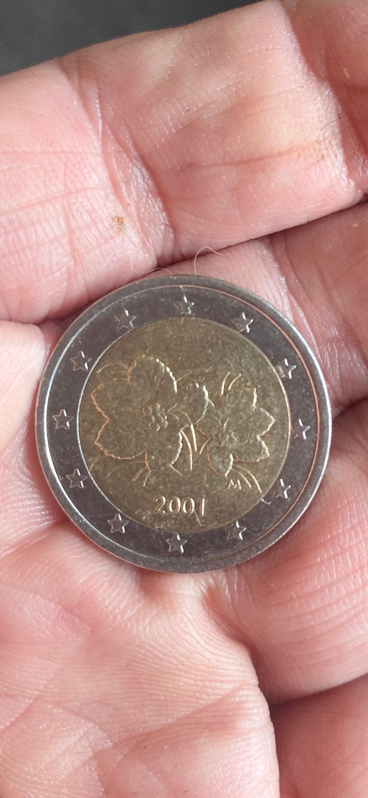 munt:  2,- €  FINLAND, Ophalen of Verzenden, Finland, 2 euro, Losse munt