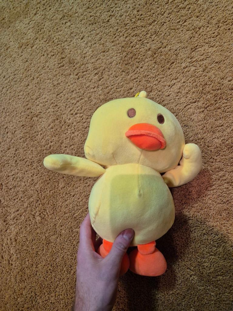 Knuffel eend, Ophalen of Verzenden, Nieuw, Eend, Middelgroot (20 tot 80 cm)