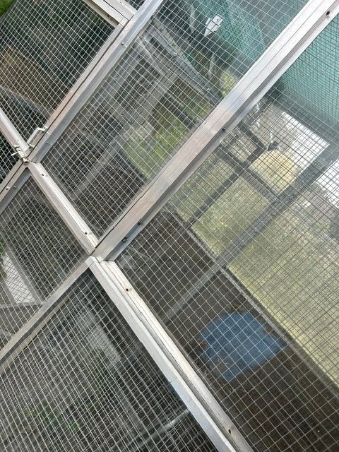 2 Maal Complete Vogelkooi., Ophalen, Zo goed als nieuw, Metaal, Vogelkooi