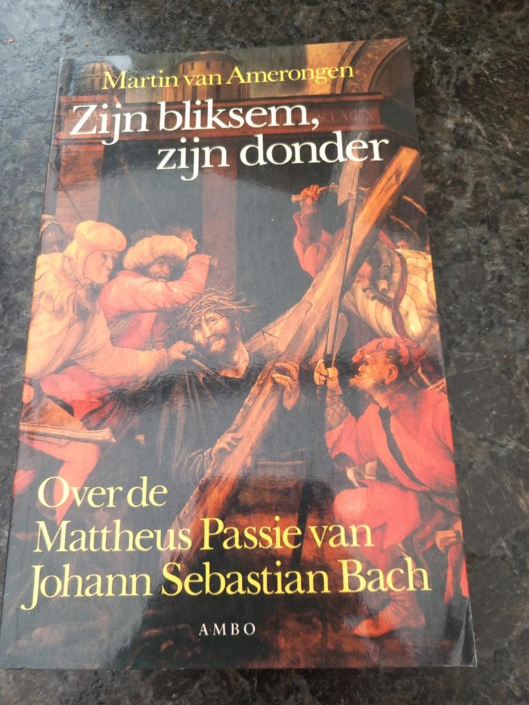 Zijn bliksem, zijn donder - Martin van Amerongen, Ophalen of Verzenden, Gelezen, Algemeen, Martin van Amerongen