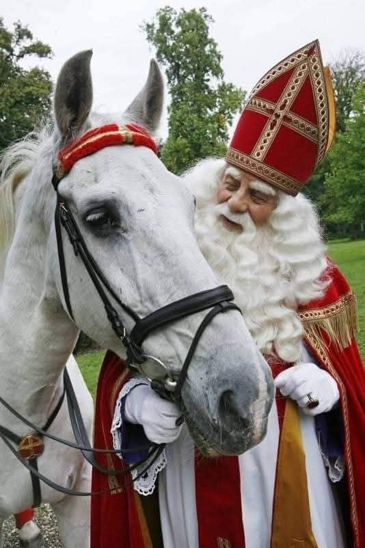 Sint en Piet boeken !, Diversen, Sinterklaas, Ophalen of Verzenden
