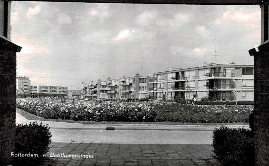 1963 ROTTERDAM HILLEGERSBERG v. Beethovensingel, Ophalen of Verzenden, 1960 tot 1980, Ongelopen, Zuid-Holland