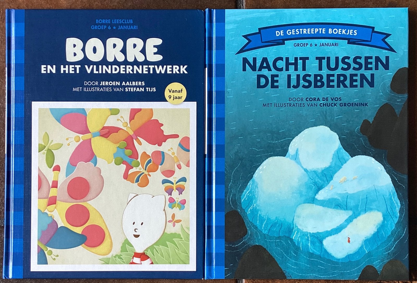 Borre boekjes voor groep 6 - 2,50 per boekje, Boeken, Ophalen of Verzenden, Nieuw, Fictie algemeen