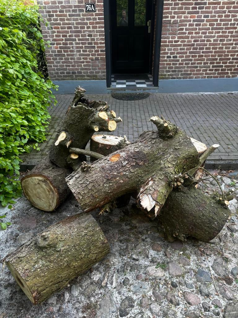 Gekapt hout: stammen en blokken, Tuin en Terras, Haardhout, Minder dan 3 m³, Ophalen, Overige houtsoorten, Stammen