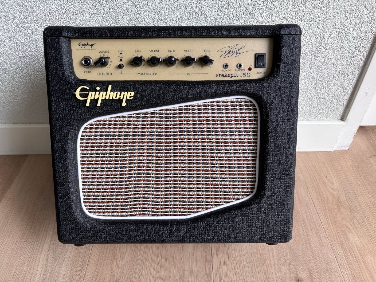 Epiphone SnakePit 15G Gitaarversterker, Muziek en Instrumenten, Ophalen, Zo goed als nieuw, Gitaar, Minder dan 50 watt