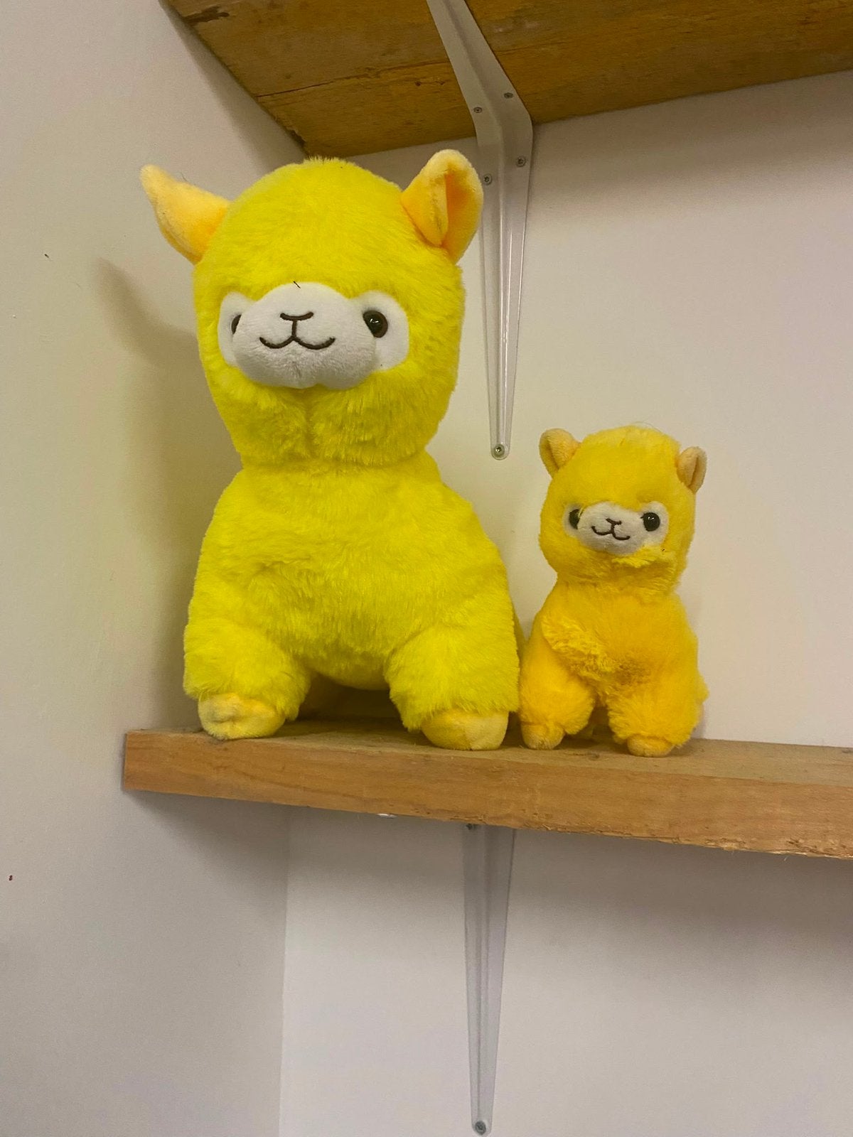 Schattige alpaca knuffels, Ophalen of Verzenden, Overige typen
