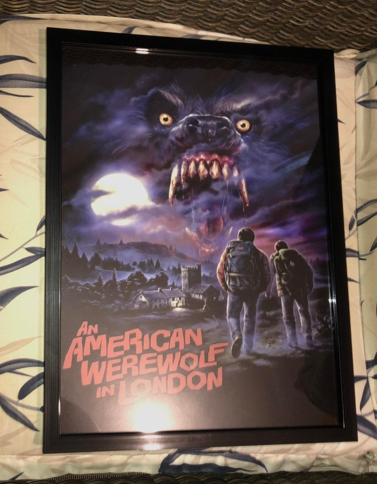 an american werewolf in london, Ophalen of Verzenden, Film en Tv